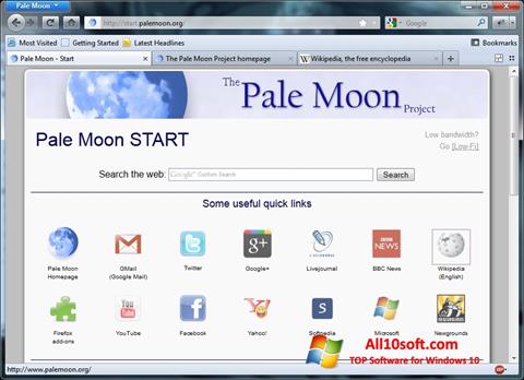 Screenshot Pale Moon untuk Windows 10