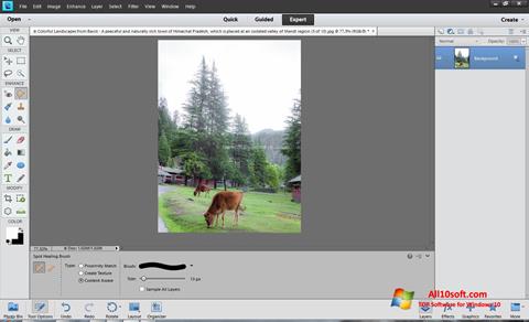 Screenshot Photoshop Elements untuk Windows 10