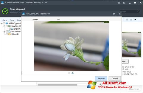 Screenshot USB Flash Drive Recovery untuk Windows 10